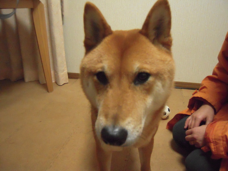 f:id:miyuki1967:20100213201032j:image