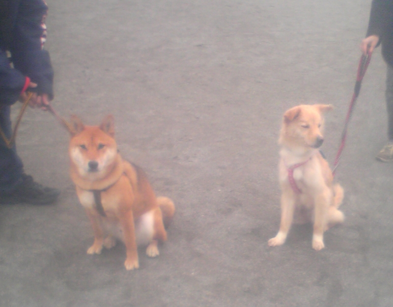 f:id:miyuki1967:20100215120319j:image:w400