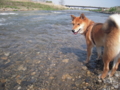 20100502142316