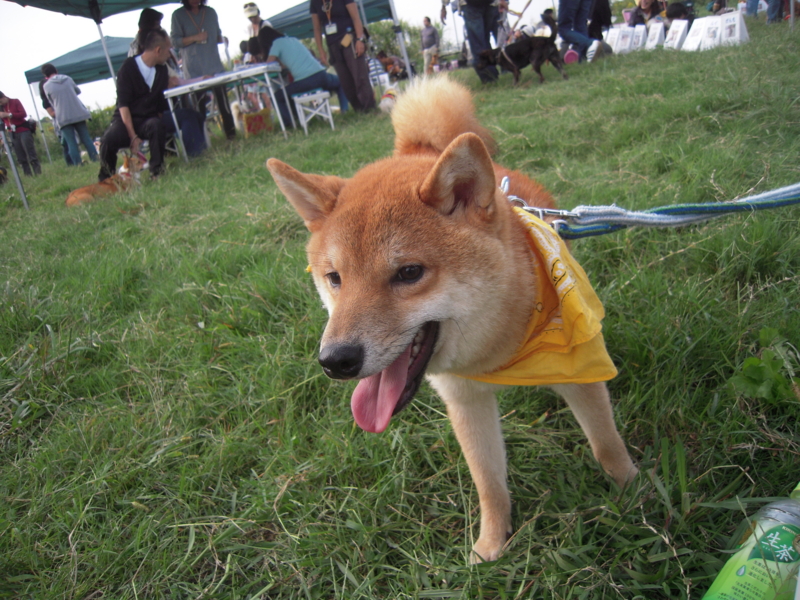 f:id:miyuki1967:20101017150058j:image:w400