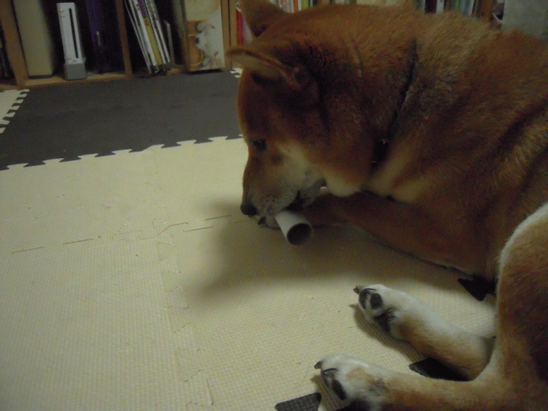 f:id:miyuki1967:20101028173702j:image:w400