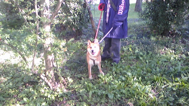 f:id:miyuki1967:20101103102853j:image f:id:miyuki1967:20101103102853j:image