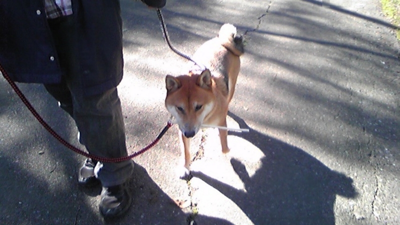 f:id:miyuki1967:20101103103037j:image f:id:miyuki1967:20101103103037j:image