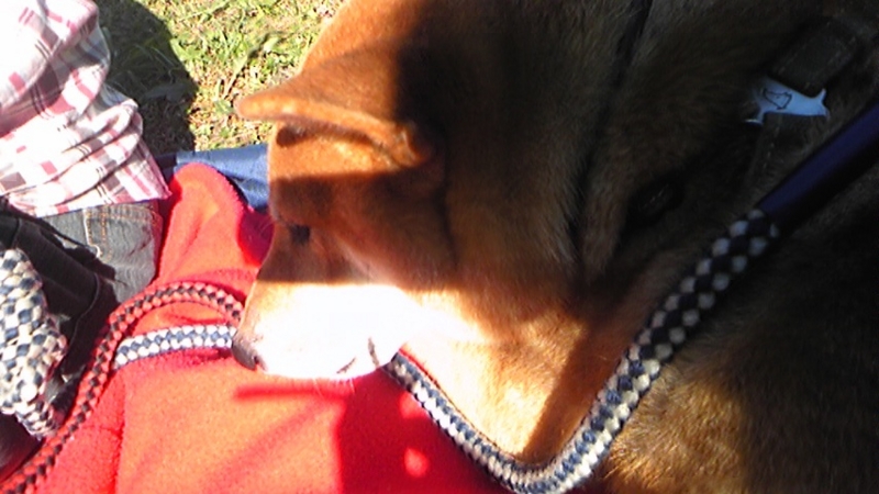 f:id:miyuki1967:20101103103827j:image f:id:miyuki1967:20101103103827j:image