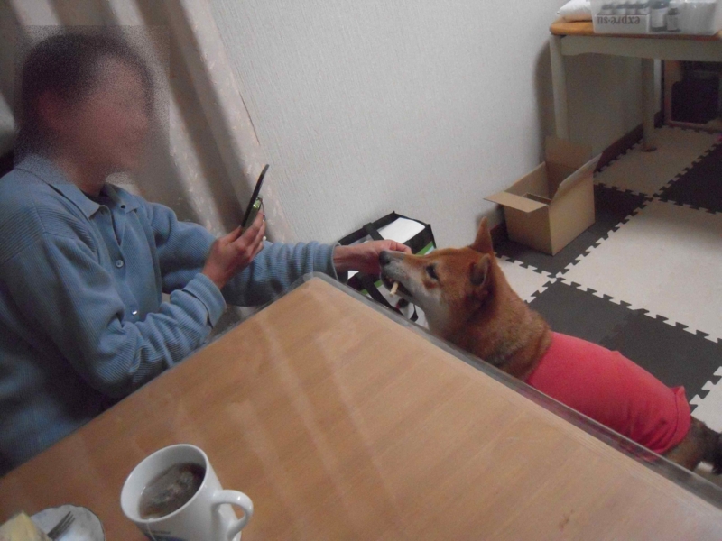 f:id:miyuki1967:20101122153942j:image:w400 f:id:miyuki1967:20101122153942j:image:w400