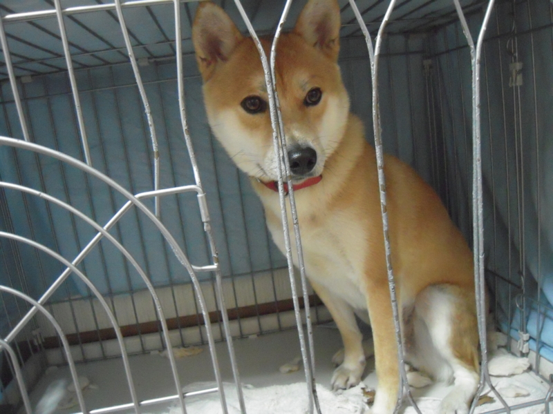 f:id:miyuki1967:20101127082102j:image:w400