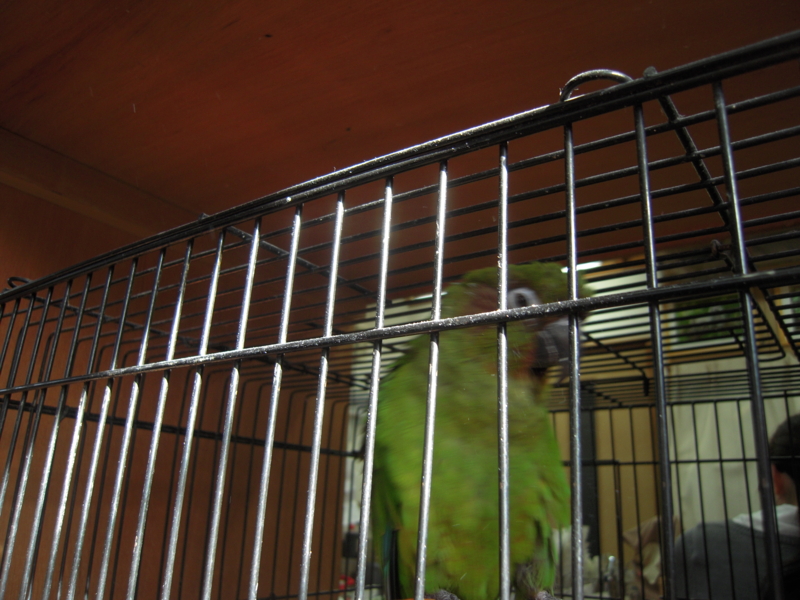 f:id:miyuki1967:20101204132552j:image:w250:left f:id:miyuki1967:20101204132552j:image:w250:left