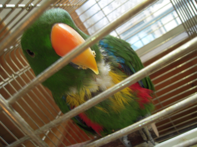 f:id:miyuki1967:20101204132610j:image:w250:left f:id:miyuki1967:20101204132610j:image:w250:left