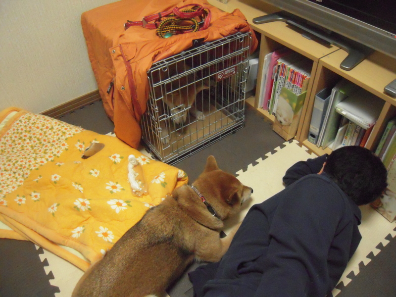 f:id:miyuki1967:20101213230425j:image:w400