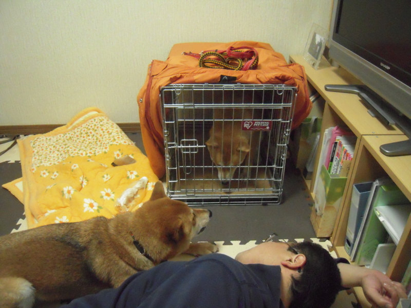 f:id:miyuki1967:20101213230549j:image:w400
