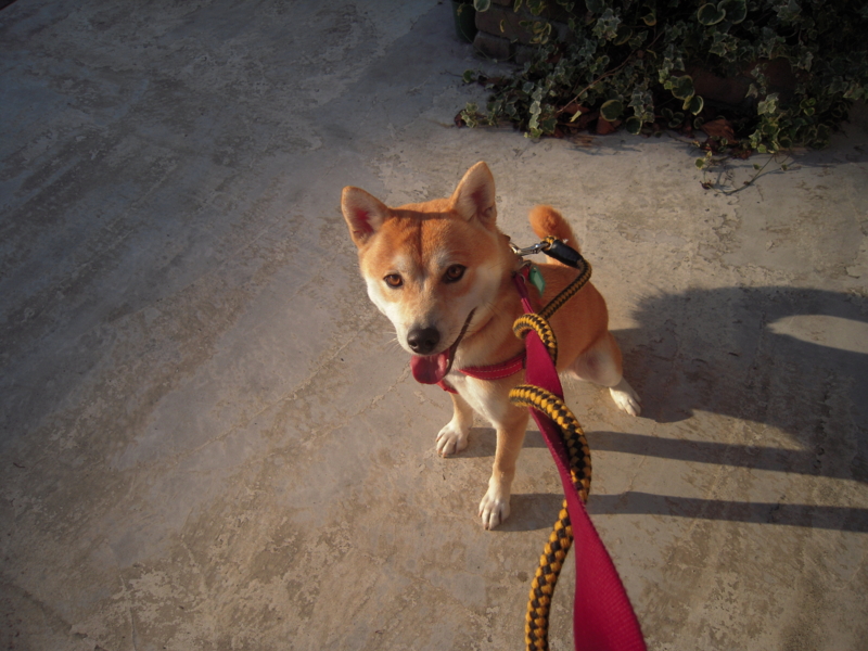 f:id:miyuki1967:20101218081928j:image:w400 f:id:miyuki1967:20101218081928j:image:w400