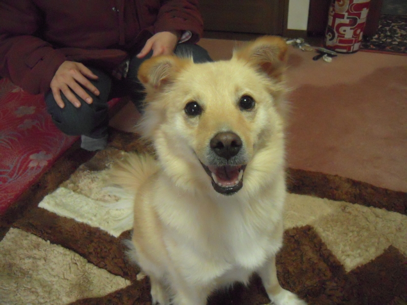 f:id:miyuki1967:20101219140001j:image:w400