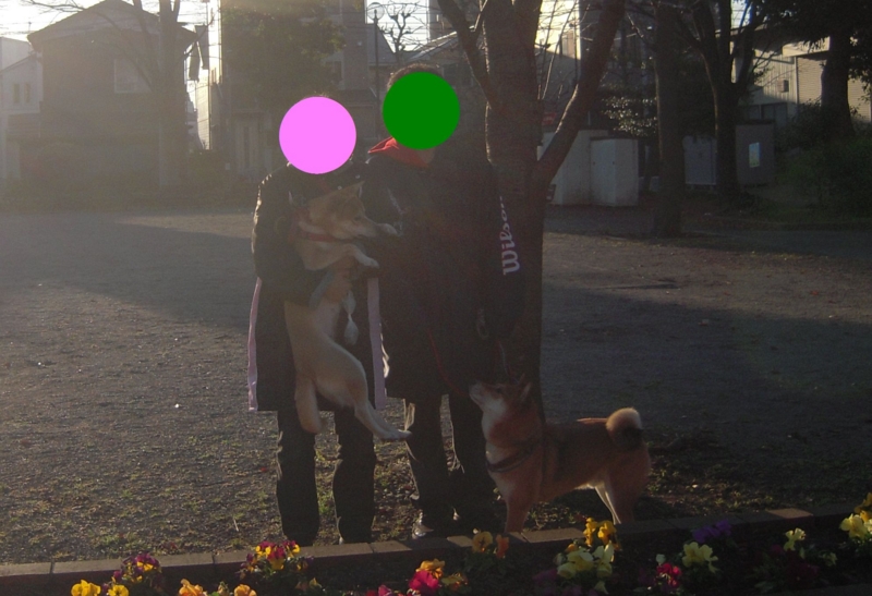 f:id:miyuki1967:20101219193804j:image:w400 f:id:miyuki1967:20101219193804j:image:w400