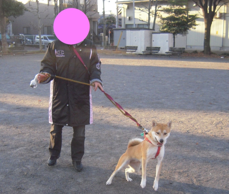 f:id:miyuki1967:20101219193807j:image:w400 f:id:miyuki1967:20101219193807j:image:w400