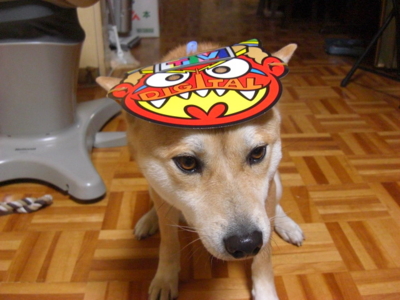 f:id:miyuki1967:20110203191916j:image