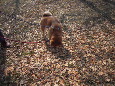 f:id:miyuki1967:20110205111216j:image f:id:miyuki1967:20110205111216j:image