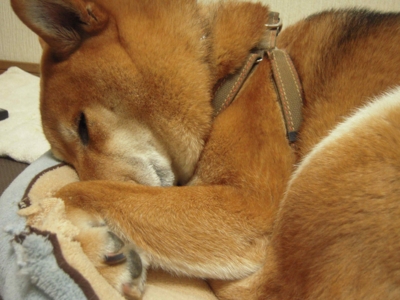 f:id:miyuki1967:20110210112526j:image