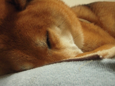 f:id:miyuki1967:20110210112536j:image