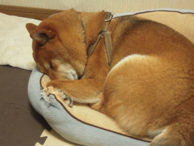 f:id:miyuki1967:20110210112555j:image