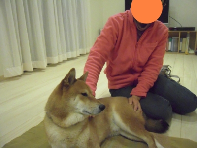 f:id:miyuki1967:20110226144427j:image f:id:miyuki1967:20110226144427j:image