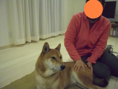 f:id:miyuki1967:20110226144442j:image f:id:miyuki1967:20110226144442j:image