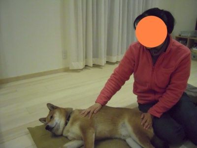 f:id:miyuki1967:20110226144502j:image f:id:miyuki1967:20110226144502j:image