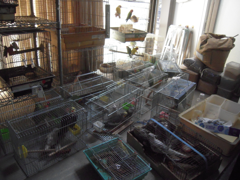 f:id:miyuki1967:20110604141445j:image:w400