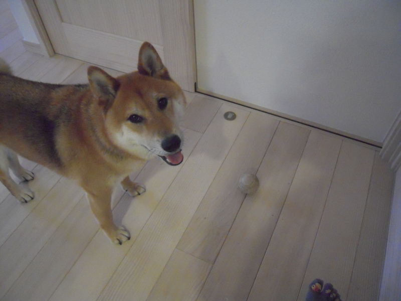 f:id:miyuki1967:20110621071918j:image:w400