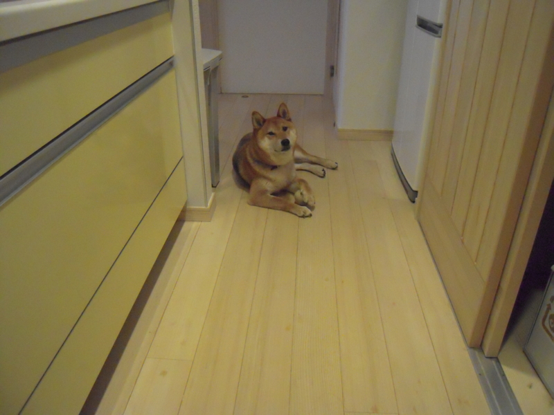 f:id:miyuki1967:20110621073313j:image:w400