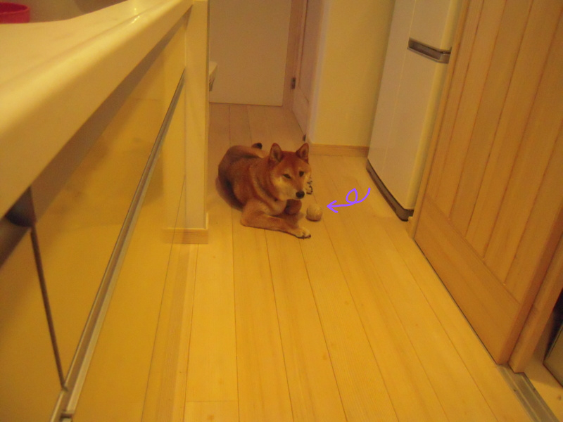 f:id:miyuki1967:20110621073454j:image:w400