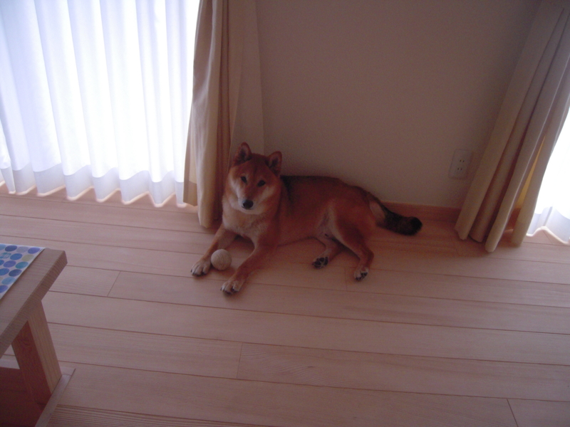 f:id:miyuki1967:20110621082712j:image:w400