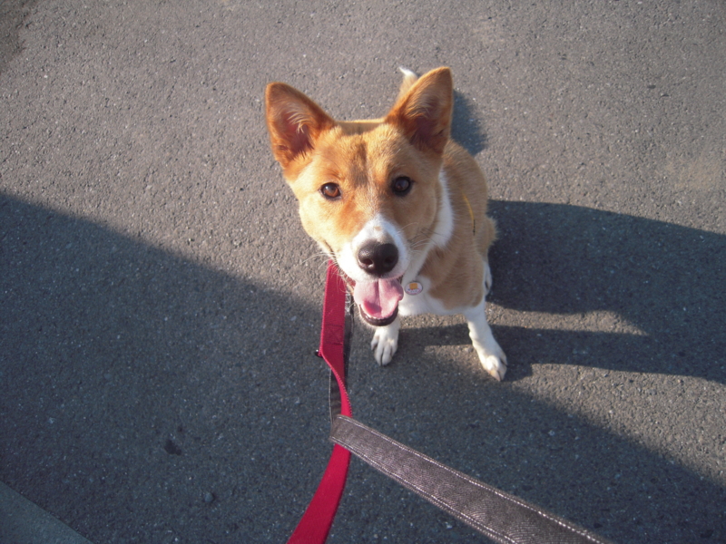 f:id:miyuki1967:20110622065830j:image:w400