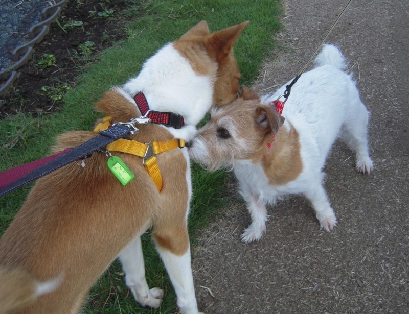 f:id:miyuki1967:20110622090744j:image:w400