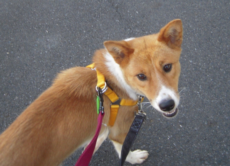 f:id:miyuki1967:20110622091959j:image:w400