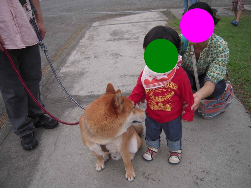 f:id:miyuki1967:20110627100050j:image:w400