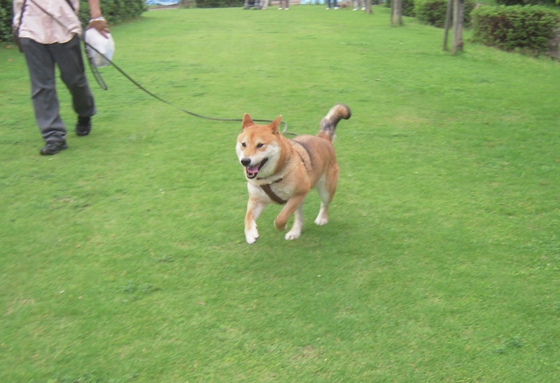 f:id:miyuki1967:20110627101549j:image:w400