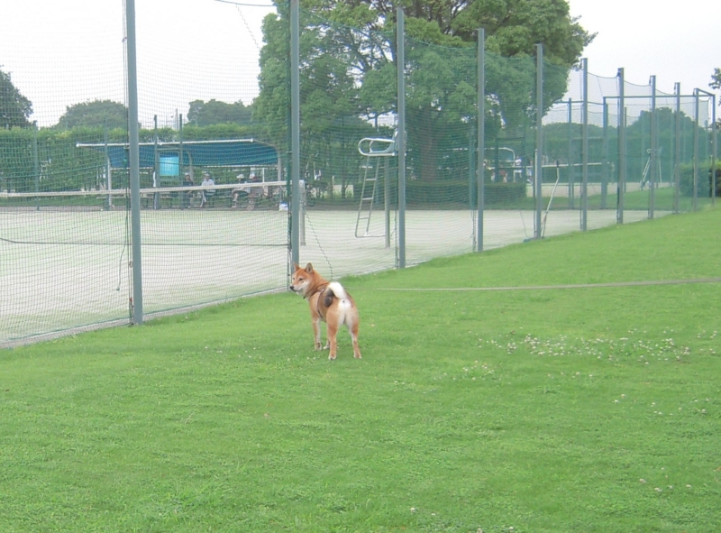 f:id:miyuki1967:20110628103634j:image:w400