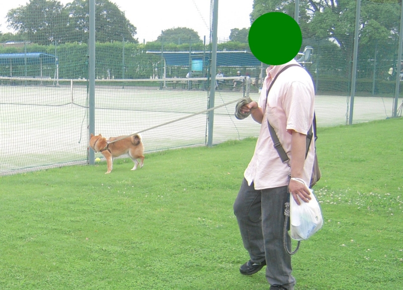 f:id:miyuki1967:20110628103637j:image:w400