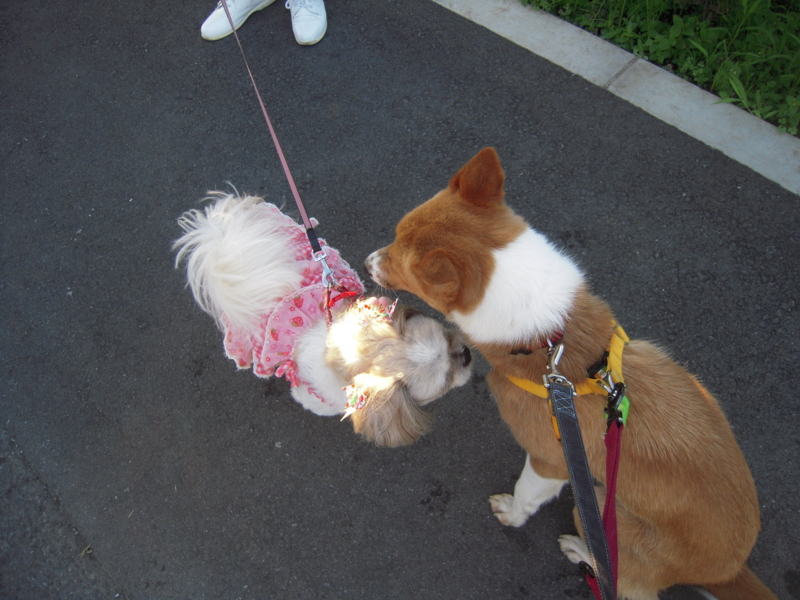 f:id:miyuki1967:20110711062012j:image:w400