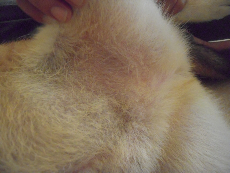 f:id:miyuki1967:20110818102027j:image