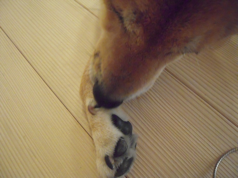 f:id:miyuki1967:20110818102030j:image