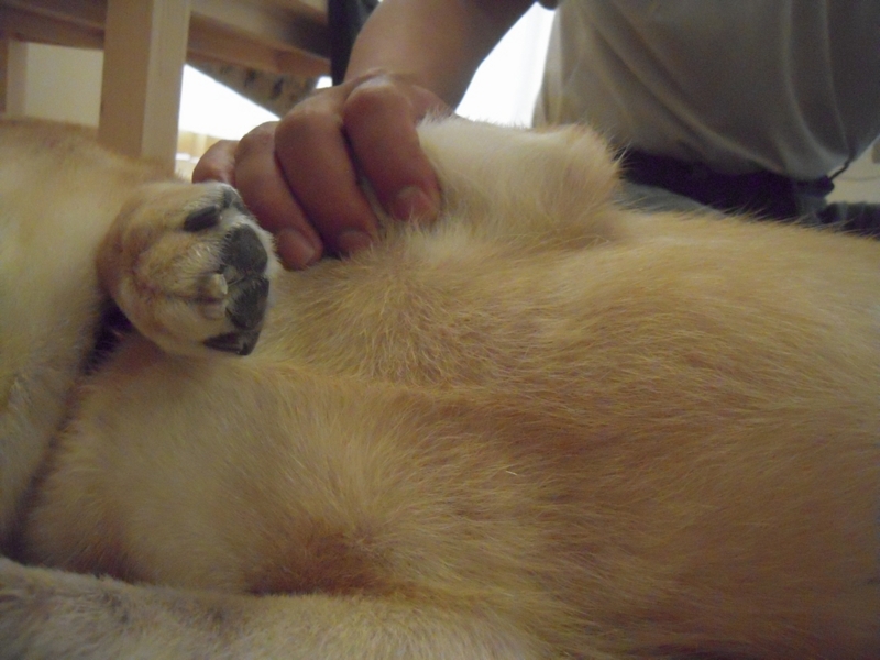 f:id:miyuki1967:20110818102032j:image