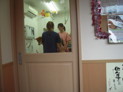 f:id:miyuki1967:20110820105610j:image