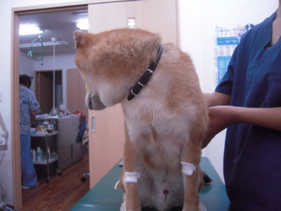 f:id:miyuki1967:20110820112036j:image