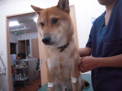 f:id:miyuki1967:20110820112042j:image