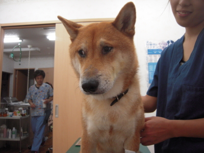 f:id:miyuki1967:20110820112049j:image