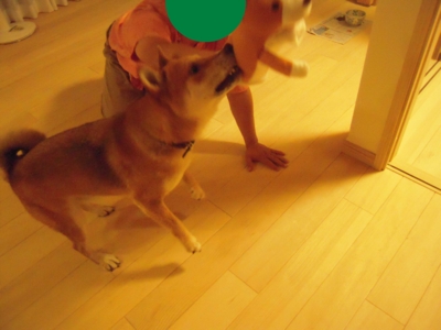 f:id:miyuki1967:20110825104212j:image:w400 f:id:miyuki1967:20110825104212j:image:w400