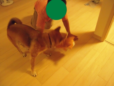 f:id:miyuki1967:20110825104222j:image:w400 f:id:miyuki1967:20110825104222j:image:w400