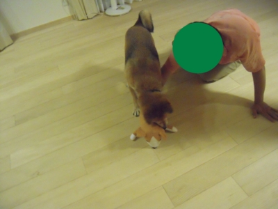 f:id:miyuki1967:20110825104231j:image:w400 f:id:miyuki1967:20110825104231j:image:w400