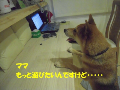 f:id:miyuki1967:20110825113109j:image f:id:miyuki1967:20110825113109j:image